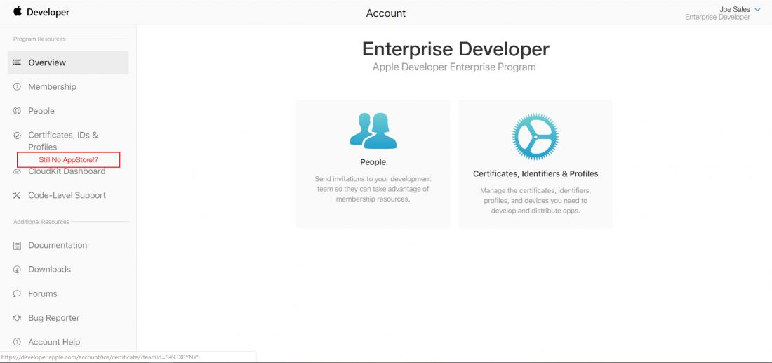 Enterprise_developer_no_app_store